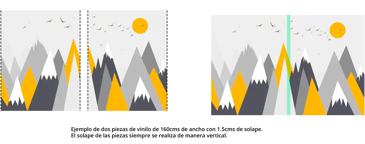 Gráfico de panelización en vinilos